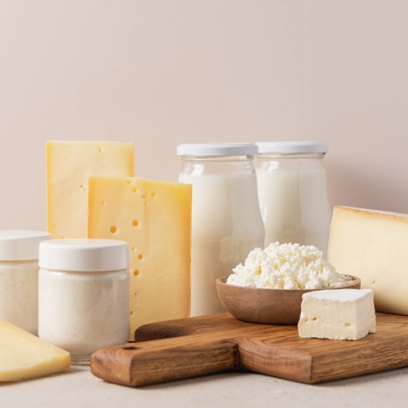 dairy products